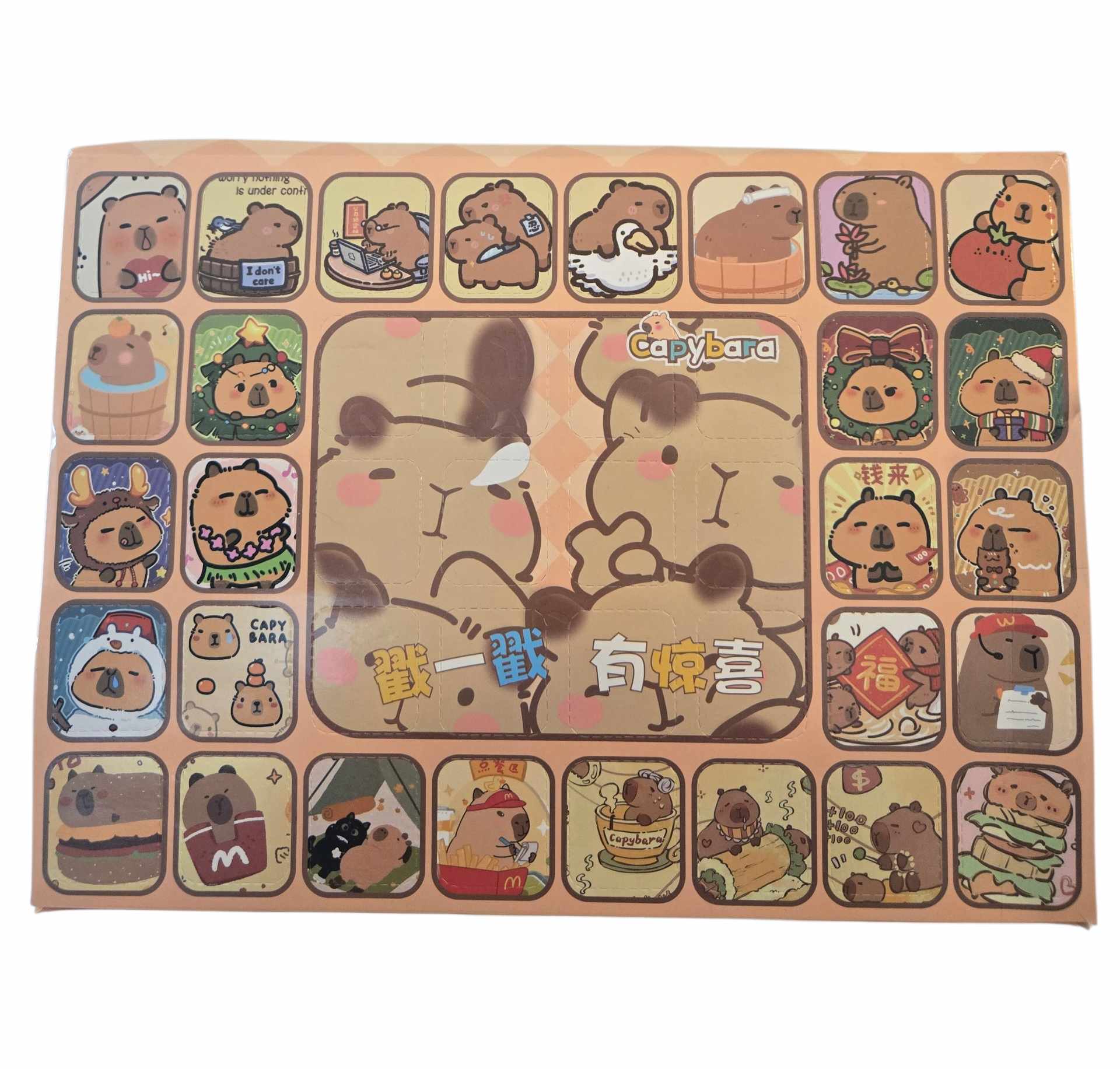 Calendrier Surprise Capybara